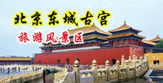 女生把屄扒开让男生捅网站中国北京-东城古宫旅游风景区